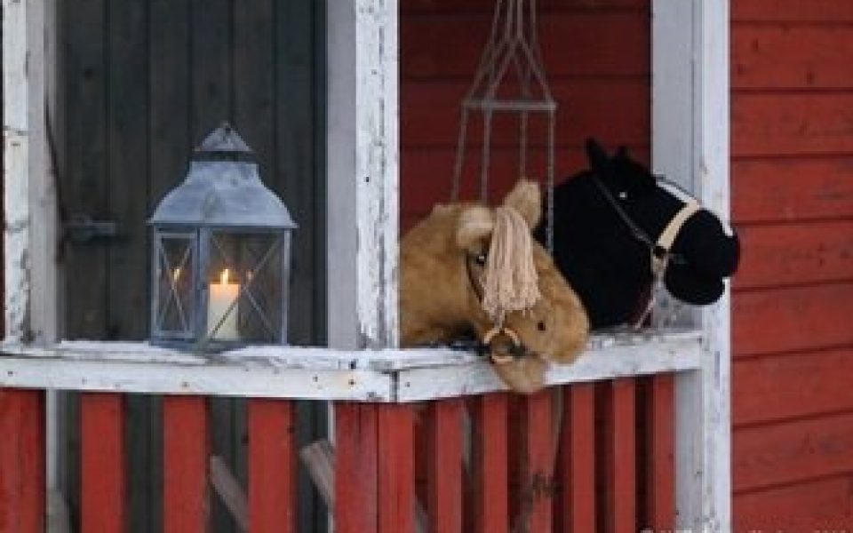 haapahuhta