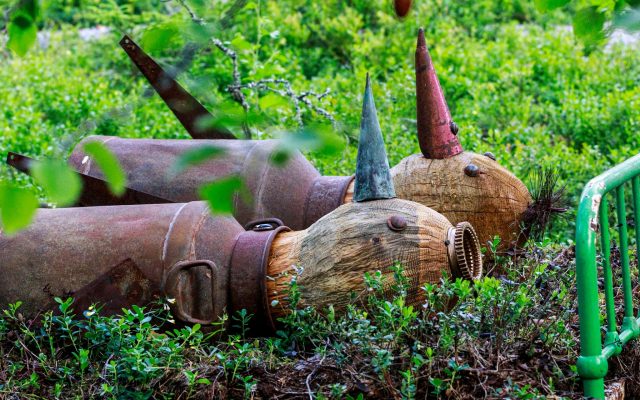 VeistospuistoOutolintu