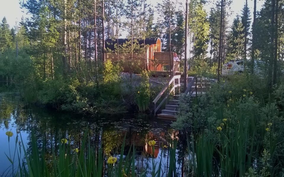 WP_20160614_21_14_48_Pro (1)